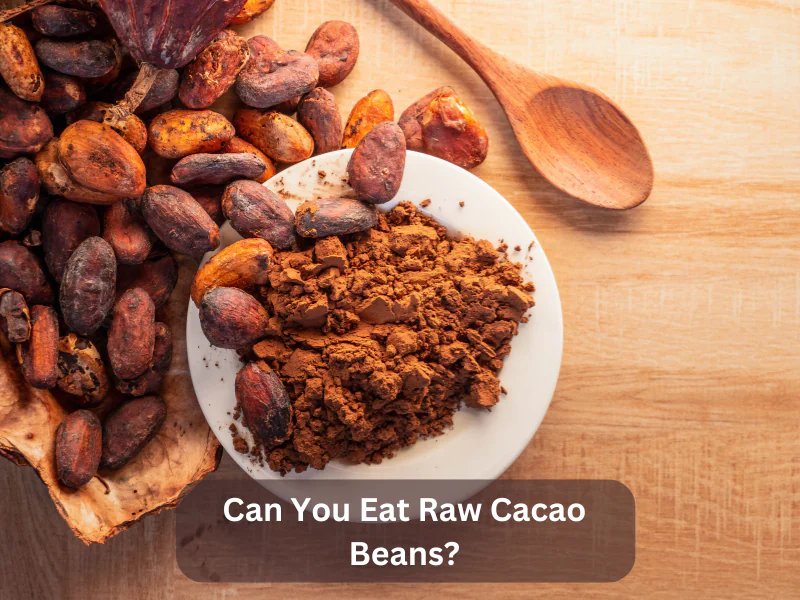 Can You Eat Raw Cacao Beans