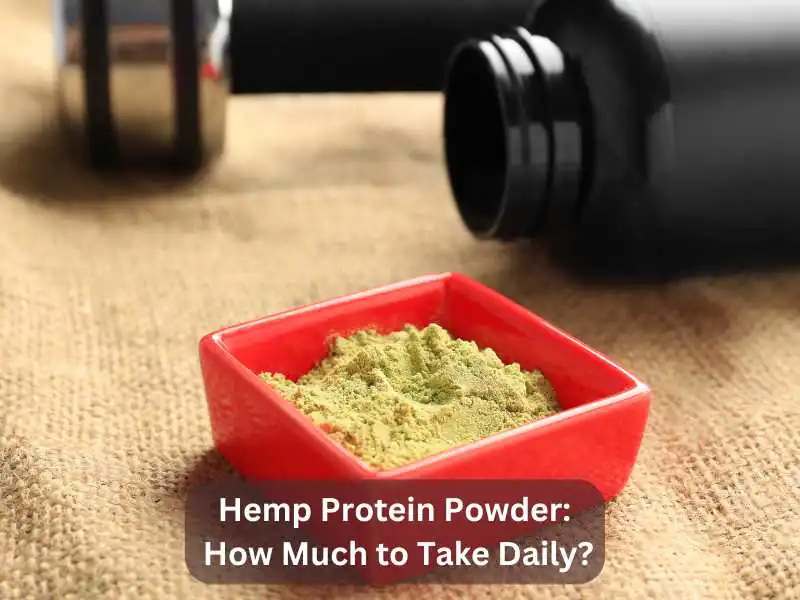 Hemp Protein Powder How Much to Take Daily
