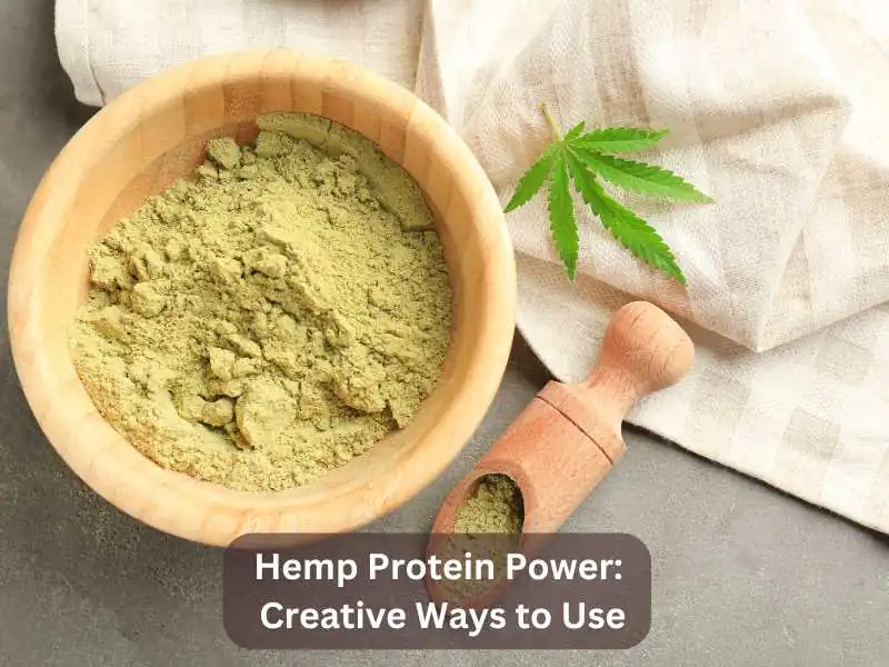 Hemp Protein Power Creative Ways to Use