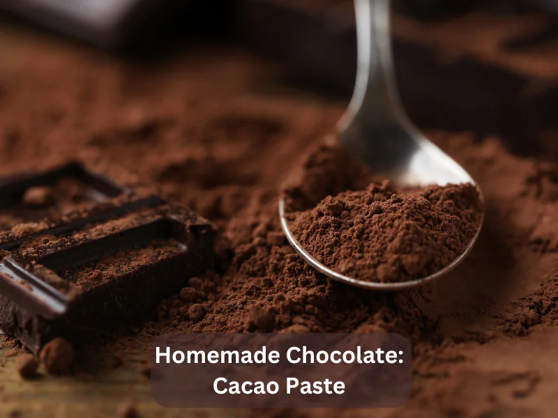 Homemade Chocolate Cacao Paste