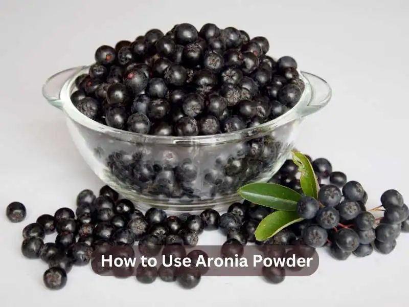 How to Use Aronia Powder