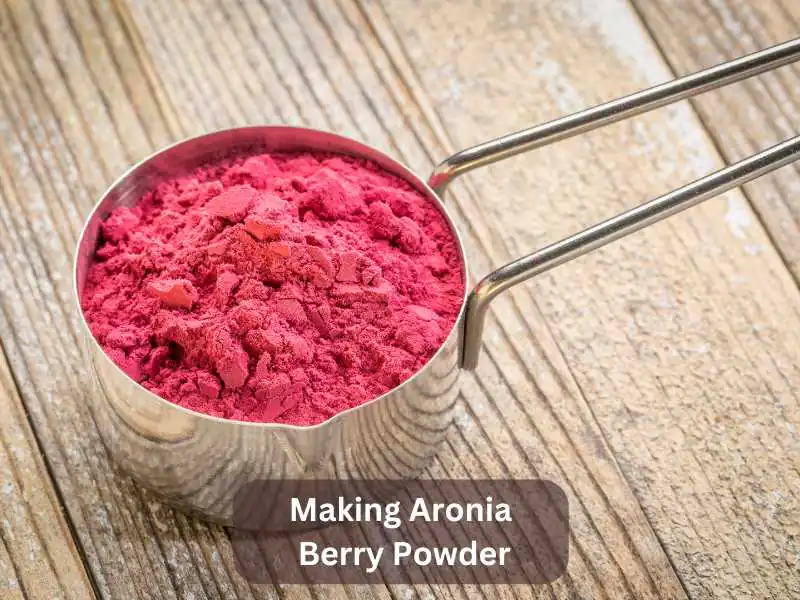 Making Aronia Berry Powder