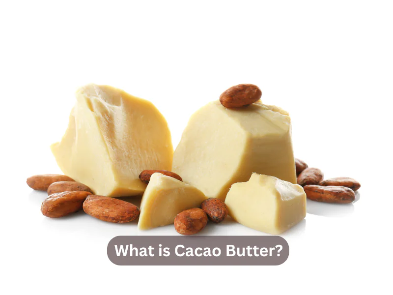 What is Cacao Butter?