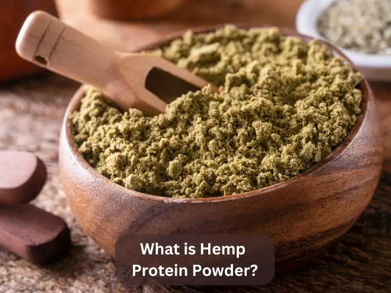 What is Hemp Protein Powder