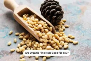 Are Organic Pine Nuts Good for You
