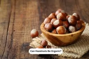 Can Hazelnuts Be Organic