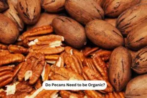 Do Pecans Need to be Organic