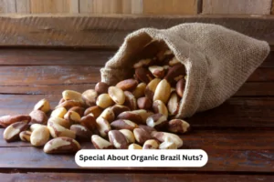Special About Organic Brazil Nuts