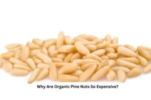 Why Are Organic Pine Nuts So Expensive
