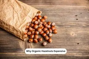 Why Organic Hazelnuts Expensive