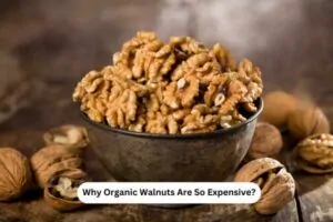 Why Organic Walnuts Are So Expensive