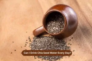 Can I Drink Chia Seed Water Every Day