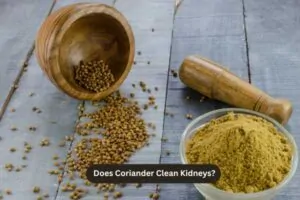 Does Coriander Clean Kidneys
