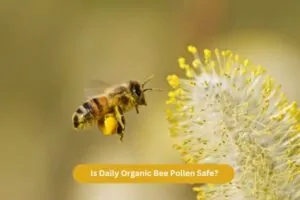 Is Daily Organic Bee Pollen Safe?