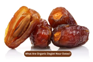 What Are Organic Deglet Nour Dates