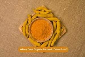 Where Does Organic Turmeric Come From