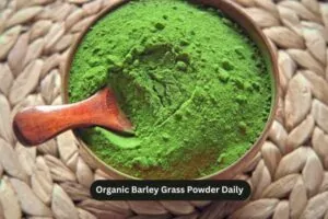 Organic Barley Grass Powder Daily