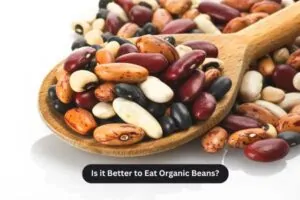 Is it Better to Eat Organic Beans?