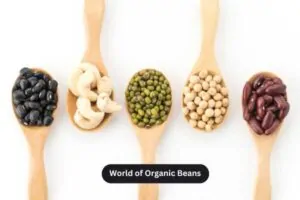 World of Organic Beans