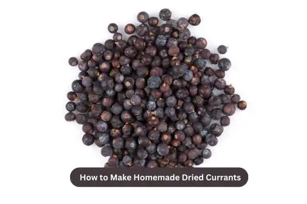 How to Make Homemade Dried Currants Easily