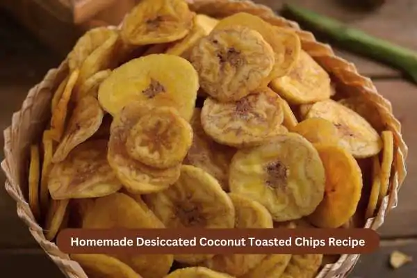 Homemade Desiccated Coconut Toasted Chips Recipe