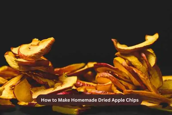 How to Make Homemade Dried Apple Chips