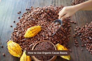 Wholesale Organic Cacao Beans