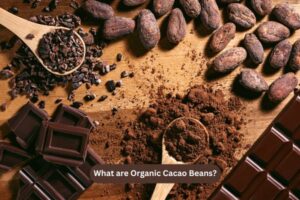 What are Organic Cacao Beans?