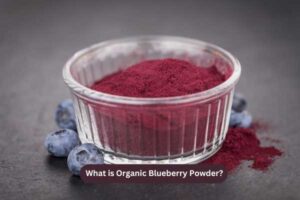 What is Organic Blueberry Powder?