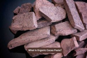 What is Organic Cacao Paste?