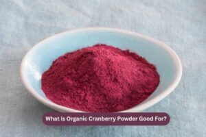 What is Organic Cranberry Powder Good For?