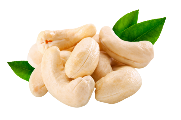 Wholesale Cashew BB