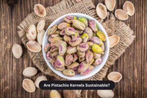 Are Pistachio Kernels Sustainable