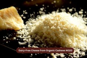 Dairy-Free Cheese from Organic Cashews W320