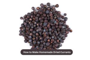 How to Make Homemade Dried Currants Easily