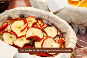 Can Babies Eat Dried Apple A Parent’s Guide