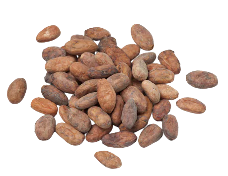 wholesale organic cacao beans