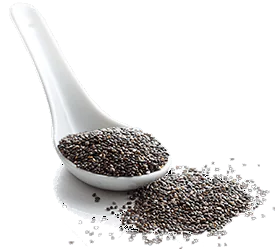 Organic Chia Seed Protein Powder
