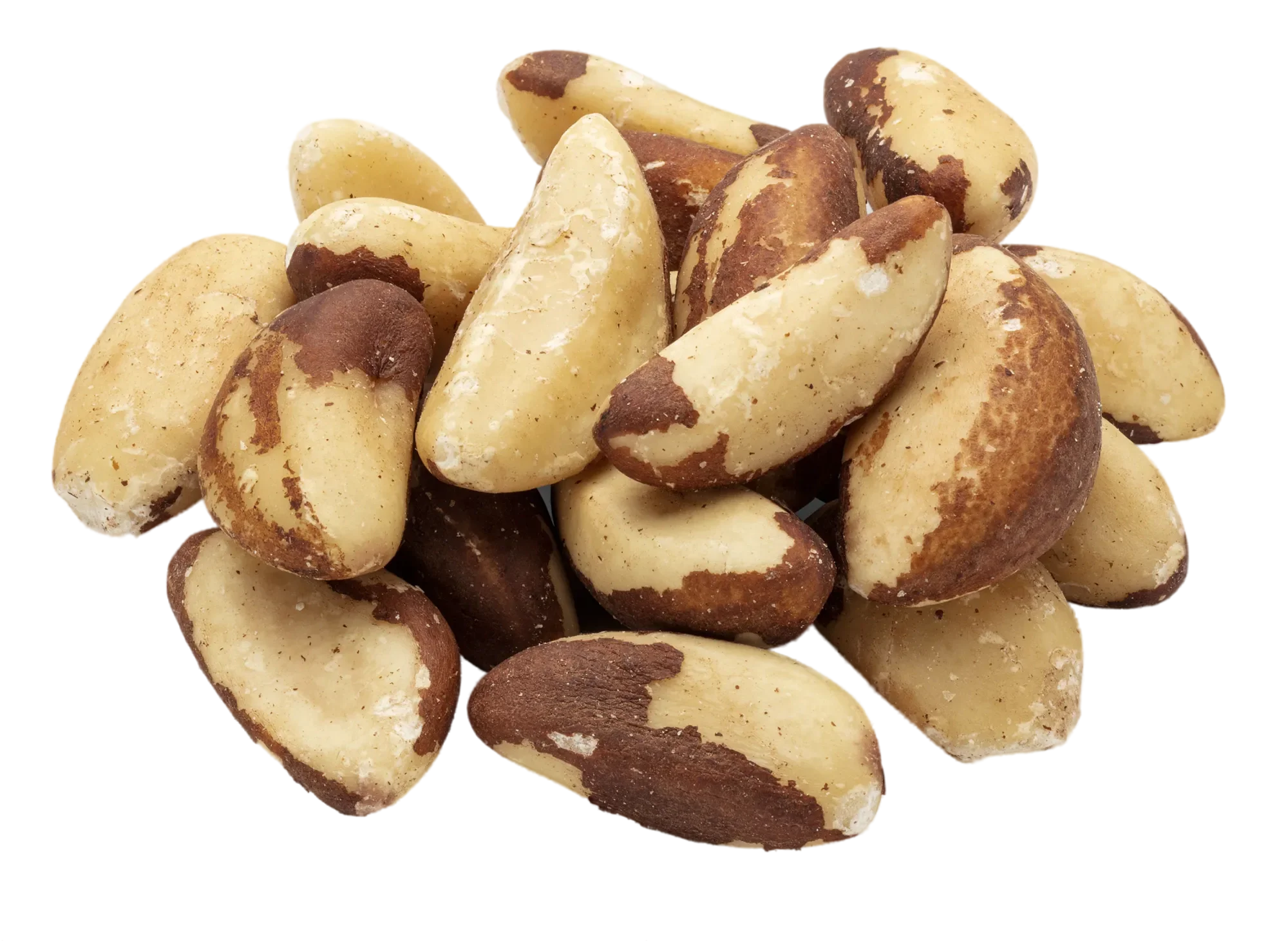Wholesale Organic Brazil Nuts