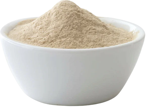 Wholesale Rice Protein Powder
