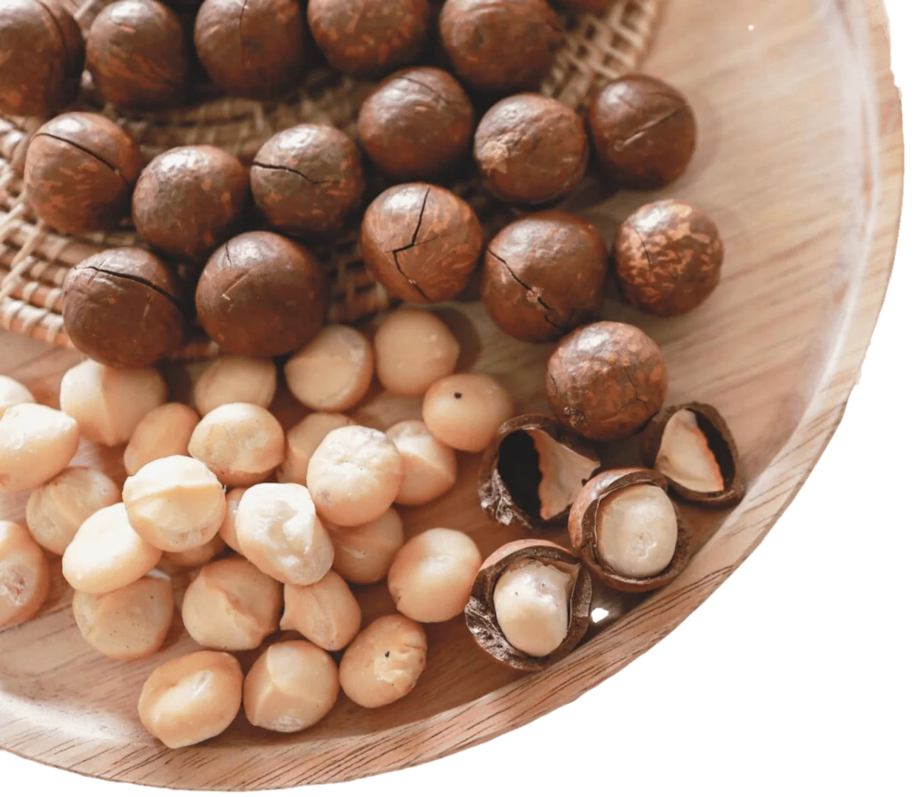Wholesale Organic Hazelnuts