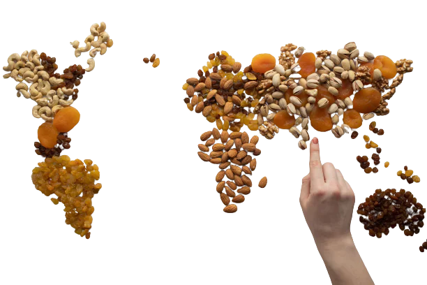 World Map made with Nuts & Dried Fruits