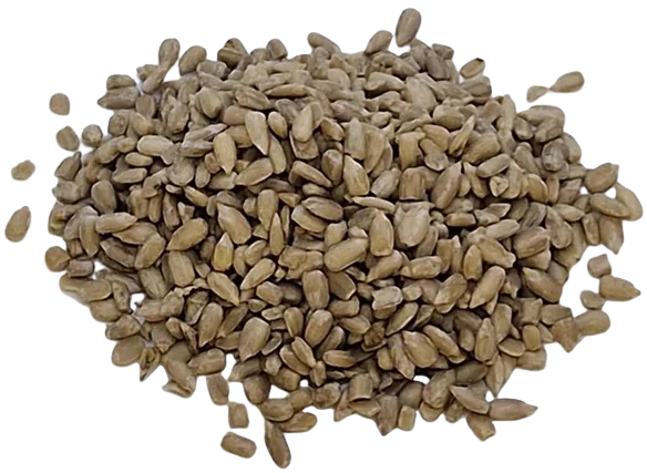 Wholesale Sunflower Seeds