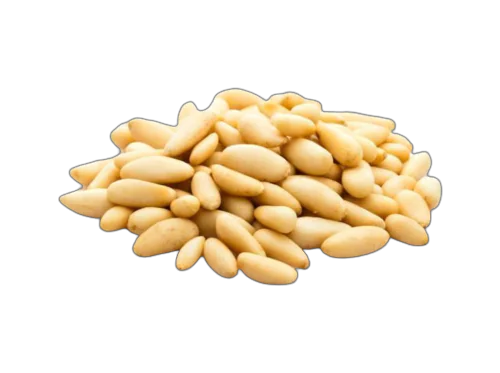 Wholesale pine nuts