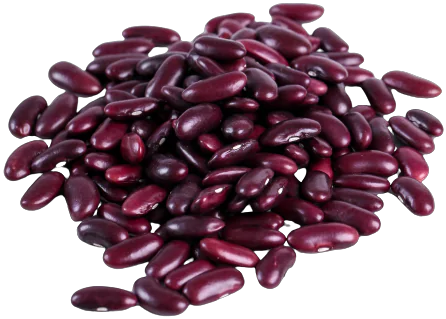 wholesale organic beans