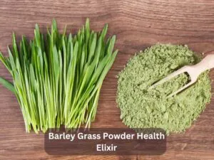 Barley Grass Powder Health Elixir