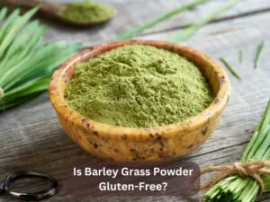 Is Barley Grass Powder Gluten-Free